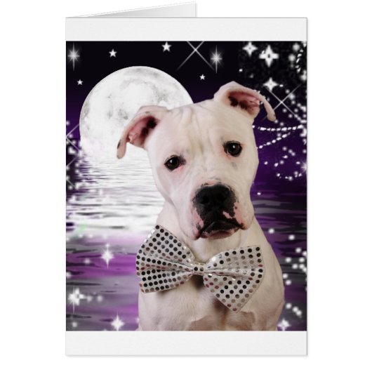 Moon puppy cards (Front)