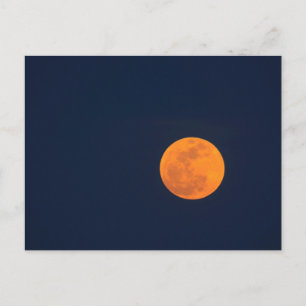 Moon Rise of the Super Moon Savannah, Georgia Postcard
