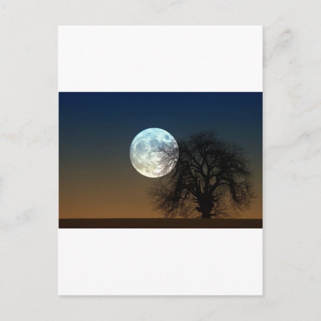 Moon Rise Postcard (Front)
