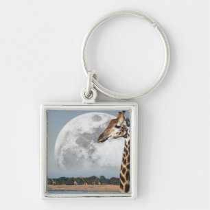 Moon rising over a group of Giraffe in Etosha Keychain