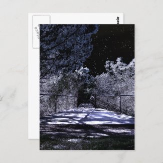 Moon Shadows