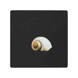 Moon Shell Metal Print