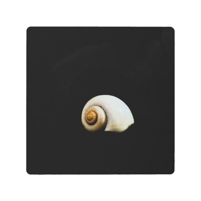 Moon Shell Metal Print (Front)