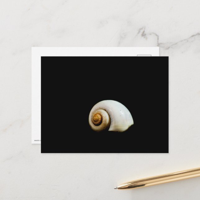 Moon Shell Postcard (Front/Back In Situ)