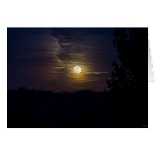 Moon Silhouette Cards (Front Horizontal)