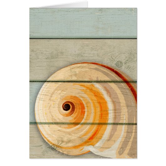 Moon Snail Cards (Front)