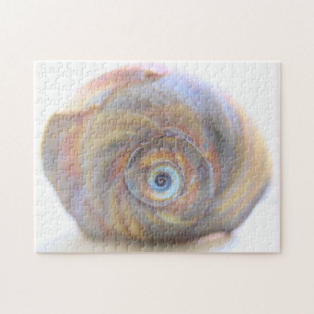 Moon Snail Shell Jigsaw Puzzle (Horizontal)