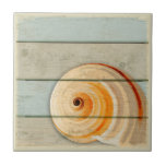 Moon Snail Tile<br><div class="desc">Moon snail on distressed wood background.</div>