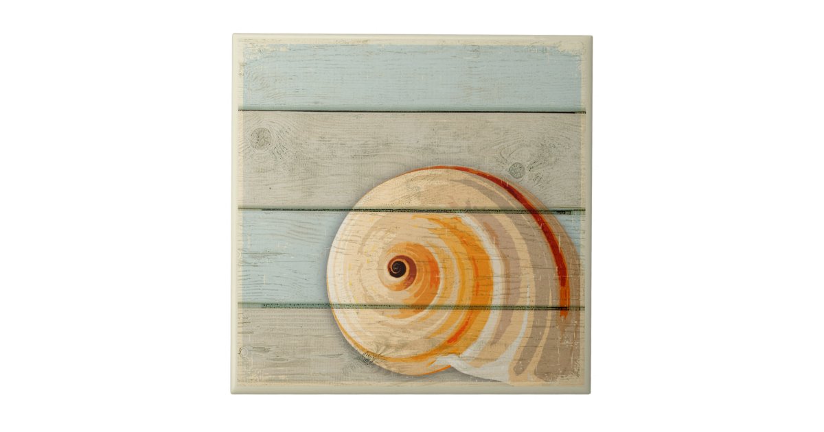 Moon Snail Tile | Zazzle