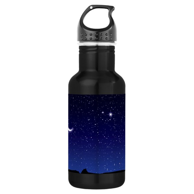 Moon & Stars Scene Stainless Steel Water Bottle (Front)