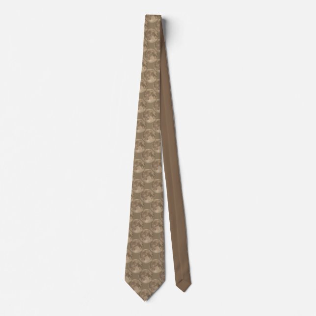 Moon Ties Full Moon Neckties Super Moon Gifts (Front)