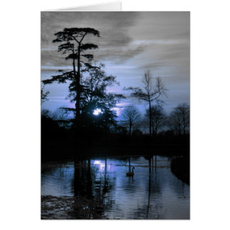 Moon Tree Cards