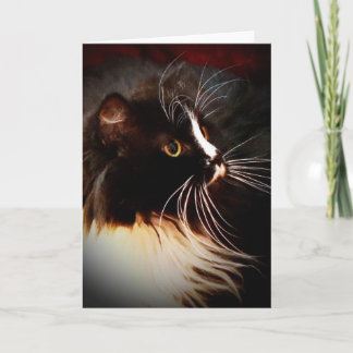 Moonbeam - Custom Note Card