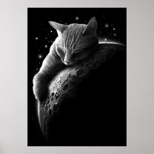 mooncat poster