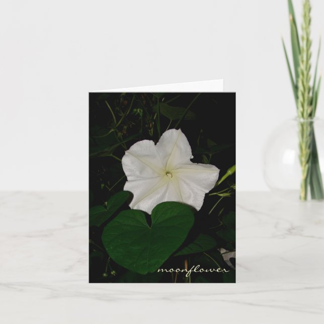 moonflower notecard (Front)