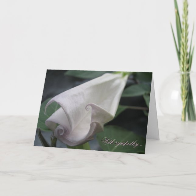 Moonflower Sympathy Card (Front)