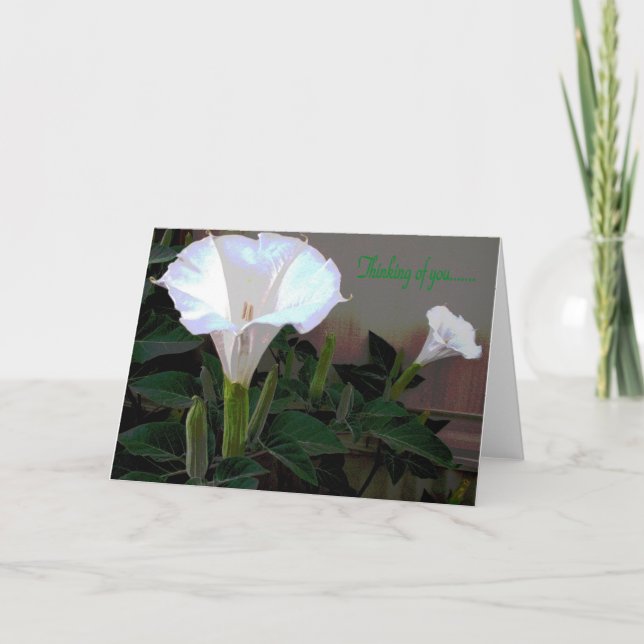 Moonflower Thinking of You Card (Front)