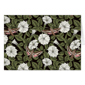 Moonflowers and sphinx moths cards