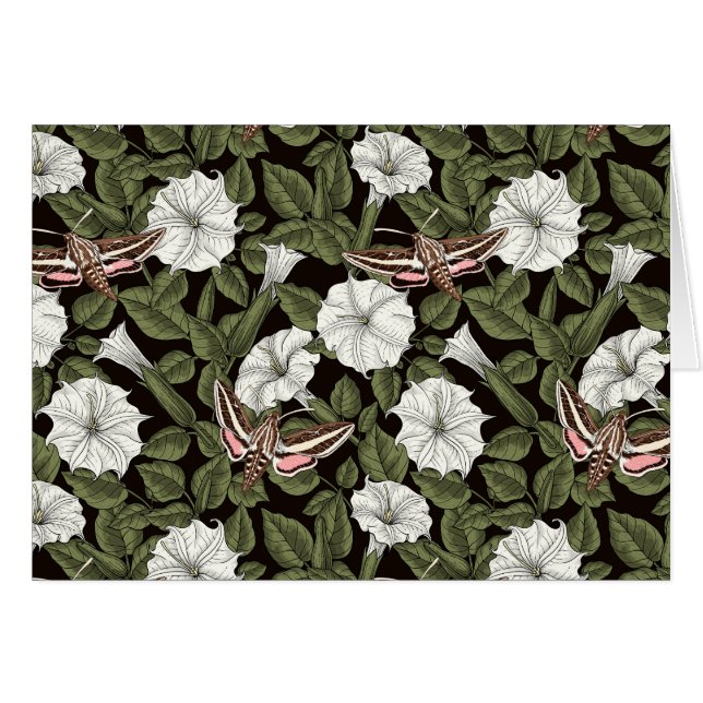 Moonflowers and sphinx moths cards (Front Horizontal)