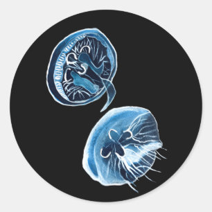 MoonJellyfish watercolor art Classic Round Sticker
