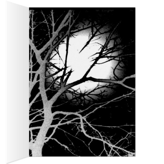 Moonlight (Inside (Right))