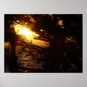 Moonlight at Moonstone Beach Poster