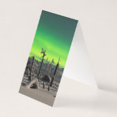 Moonlight Aurora (Back)