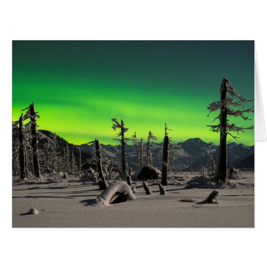 Moonlight Aurora Cards (Front Horizontal)