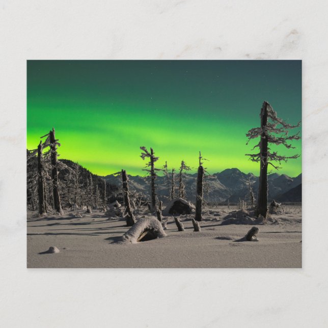 Moonlight Aurora Postcard (Front)
