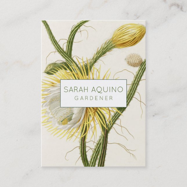 Moonlight Cactus Business Card (Front)
