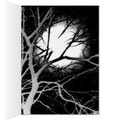 Moonlight Cards (Inside (Right))