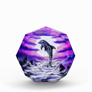 Moonlight Dolphin Acrylic Award