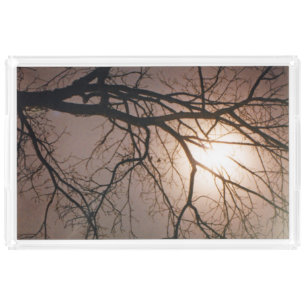 Moonlight Dream Acrylic Tray