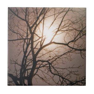 Moonlight Dream Ceramic Tile