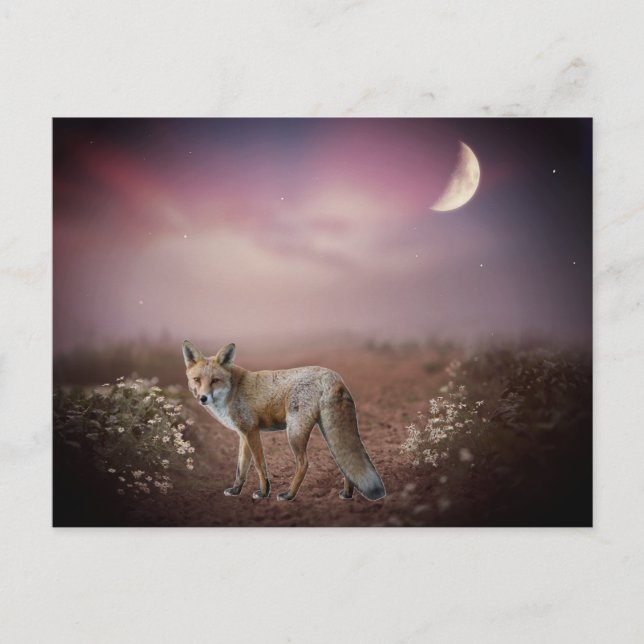 Moonlight Dream Fox Scene  Postcard (Front)