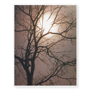 Moonlight Dream Temporary Tattoos