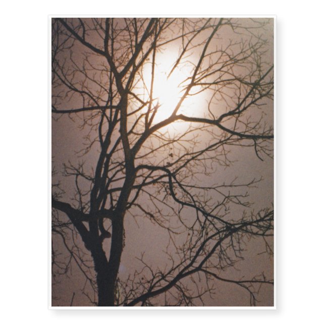 Moonlight Dream Temporary Tattoos (Front)