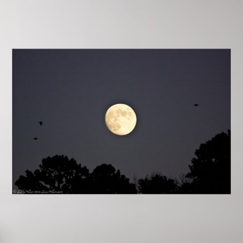 Moonlight Flight Posters