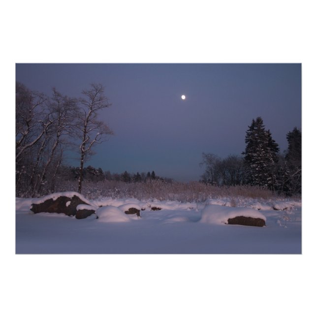 Moonlight in a midwinter seashore landscape CC0830 Photo Print (Front)