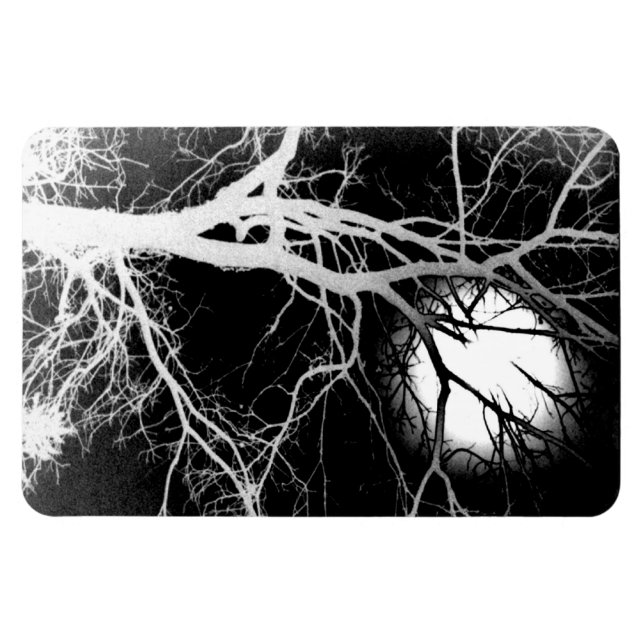 Moonlight Magnet (Horizontal)