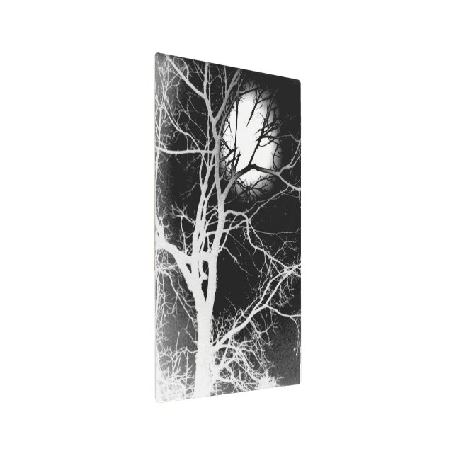 Moonlight Metal Print (Angled)