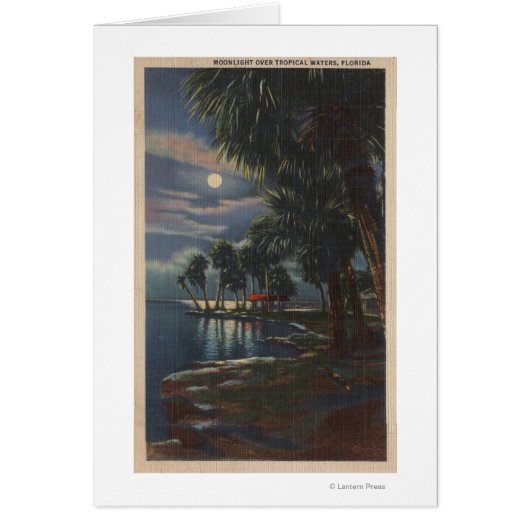 Moonlight on a Florida BeachFlorida Cards (Front)