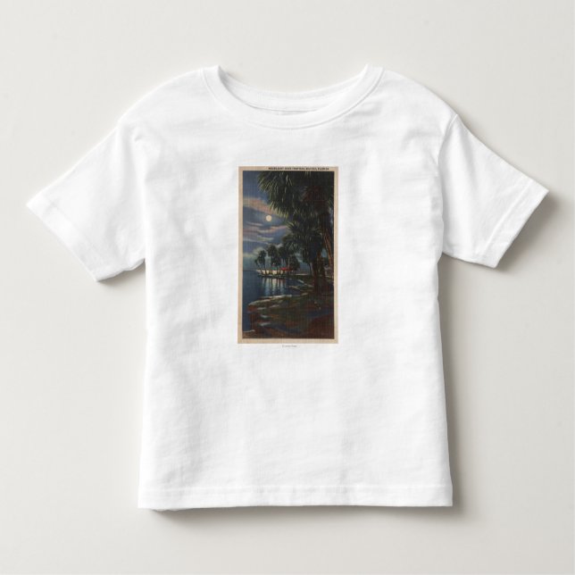 Moonlight on a Florida BeachFlorida Toddler T-shirt (Front)