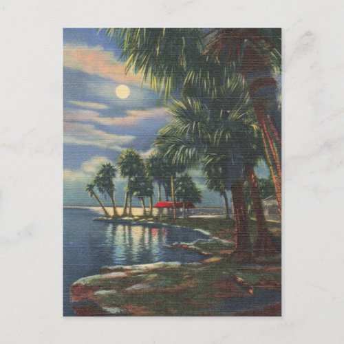 Moonlight Over Florida Tropical Waters Postcard
