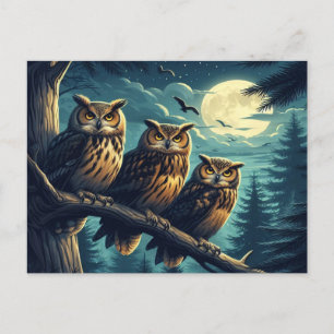 Moonlight Owls A Nighttime Serenade Postcard
