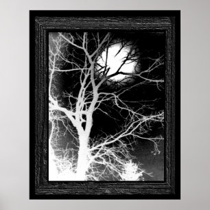 Moonlight Poster