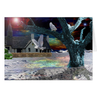 Moonlight Shadow Cards
