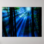 Moonlight Shines By The Lake Poster at Zazzle