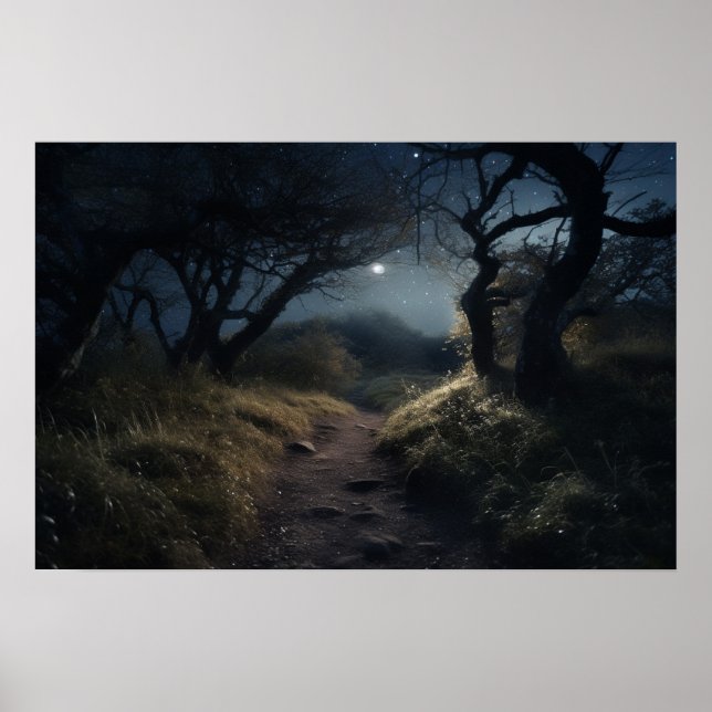 Moonlight walk on winding path through woods poster (Front)