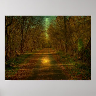 moonlight walk poster